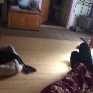 Meet your Posher, William j.